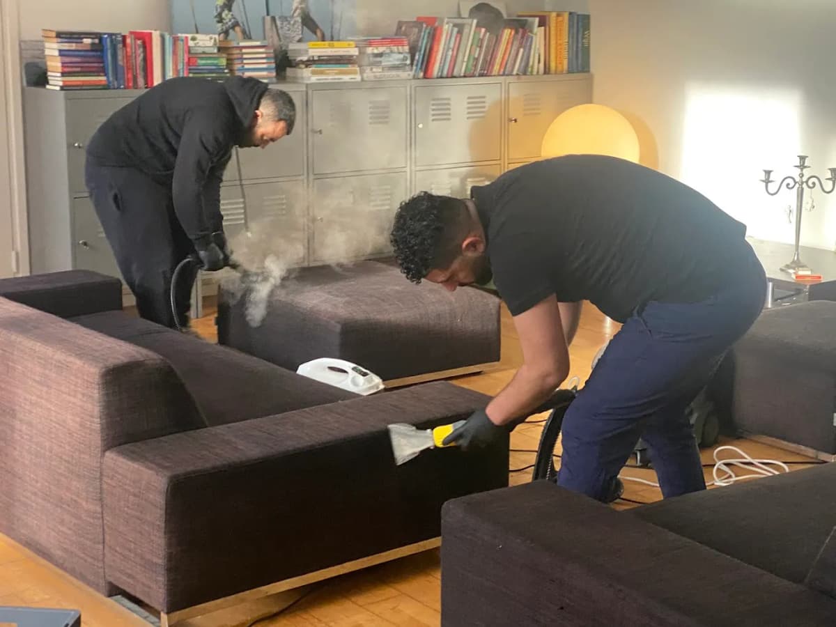 El equipo de Limpieza de Alfombras Madrid